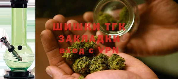 PSILOCYBIN Аркадак