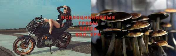 a pvp Арсеньев