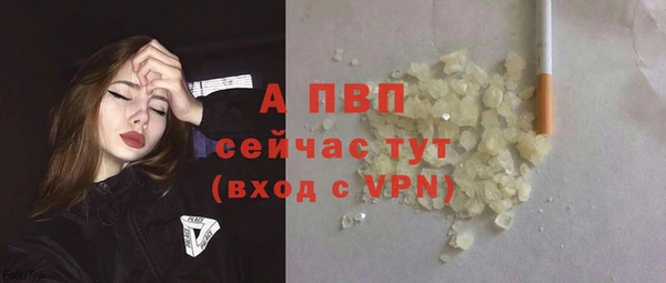 PSILOCYBIN Аркадак