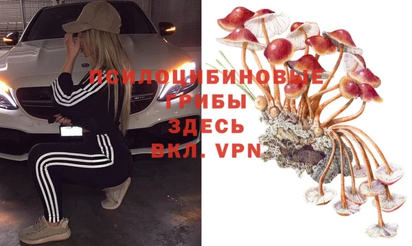 PSILOCYBIN Аркадак