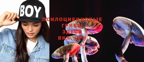 PSILOCYBIN Аркадак